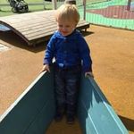 Wayne Guy - @wippet270581 - Instagram