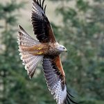 Wayne Guy - @wg698294 - Instagram