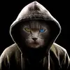 hacker pal24 - @waynethehacker - TikTok