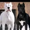 hackerwayne62 - @hackerwayne62 - TikTok