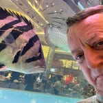 Wayne Hadfield - @wayne_hadfield - Instagram