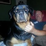 Wayne Hager - @waynehager - Instagram