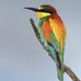 Wayne Hawla - Facebook