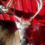 Larry Wayne Hallmark - @larryhallmark - Instagram