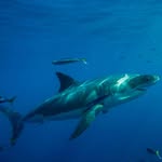 Wayne Halverson - @waynehalverson - Instagram