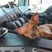Hank Wayne - Facebook