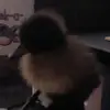 Wayne Harbour - @wayne.harbour - TikTok