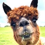 Wayne Hardman - @wayne.hardman.5891 - Instagram