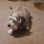 Wayne Harmston - @wayneharmston - Instagram