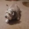 wayneharmston - @wayneharmston - TikTok