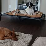 Wayne Harrell - Facebook