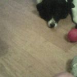 Wayne Hartley - @waynehartley40 - Instagram