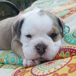 Wayne Hatcher - @waynehatcher4 - Instagram