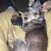 Wayne Hatcher - Facebook