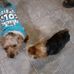 Wayne Hatfield - Facebook