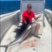 Wayne Hauser - Facebook