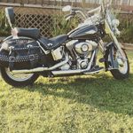 Wayne Hayden - @waynehayden1710 - Instagram