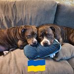 Wayne Hayden - @wayneh75 - Instagram