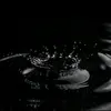 WayneHayden - @lavergsmvbe - TikTok