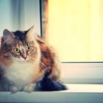 Wayne A. Headley - @meganrstartbridges - Instagram
