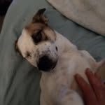 Wayne Hebert - @waynehebert11 - Instagram