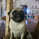 Wayne Hedrick Jr. - @whedrick2012 - Instagram