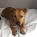 Wayne Helstrom - Facebook