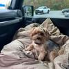 wayneheighton391 - @wayneheighton391 - TikTok