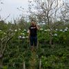 user932865026016 - @waynehilman1 - TikTok