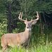 Wayne Hoilman - Facebook