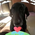 Wayne Heiselman - @heiselmanwayne - Instagram