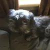 waynehofflich - @waynehofflich - TikTok