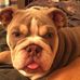 Wayne Helm - Facebook