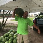 Wayne Helm - @wayne.helm.7 - Instagram