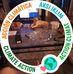 Wayne Helm - Facebook