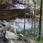 Wayne Helton - @waynehelton14 - Instagram