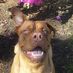 Wayne Hendershot - Facebook