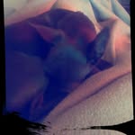 Wayne Hensley - @waynehensley6603 - Instagram