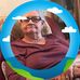 Wayne Herald - Facebook