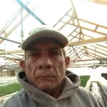 Wayne hernandez - @wayne.9347 - Instagram