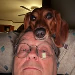 Wayne Herndon - @wayne.herndon.9 - Instagram