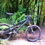 Wayne Herrick - @crampngoslow - Instagram