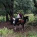 Wayne Hershberger - Facebook