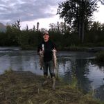 Wayne Hershman - @waynehershman_ - Instagram