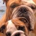 Wayne Heslop - Facebook