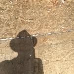Wayne Higby - @higbywayne - Instagram