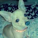 scraps kenneth wayne higdon - @scrapskennethwayne - Instagram