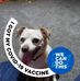 Wayne Higdon - Facebook