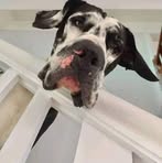 Wayne Hill - Facebook