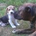 Wayne Hillier - Facebook